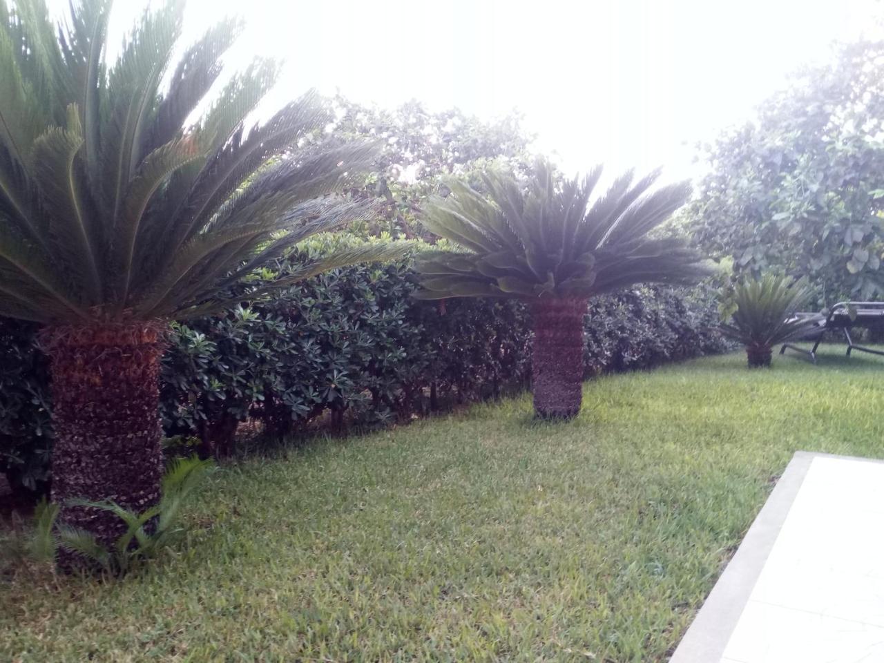 Ferienwohnung Sicilian Garden Avola Exterior foto